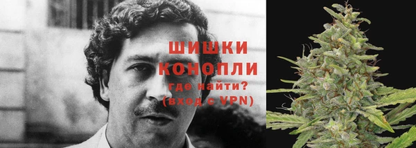 дживик Мегион