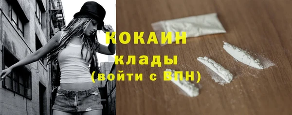 дживик Мегион