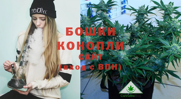 дживик Мегион