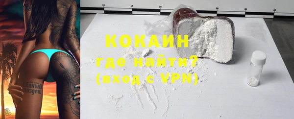 дживик Мегион