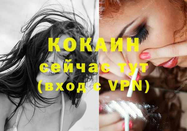 дживик Мегион