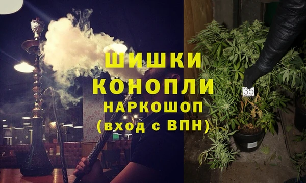 spice Медногорск