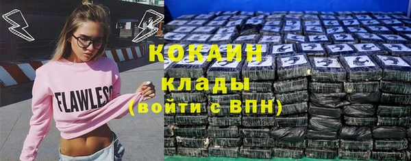дживик Мегион
