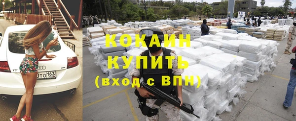 дживик Мегион