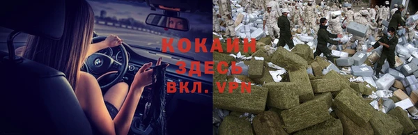 дживик Мегион