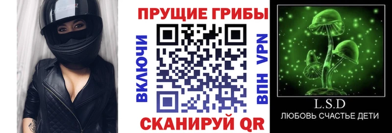 Псилоцибиновые грибы GOLDEN TEACHER  Купить  Сухой Лог 